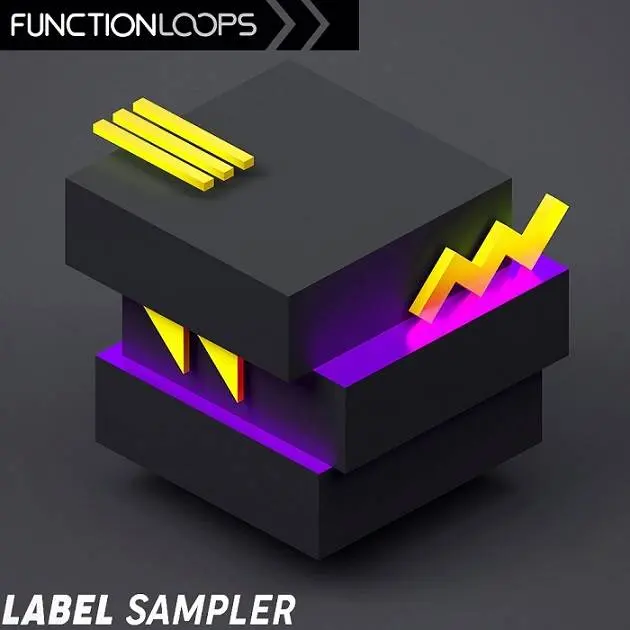 Function Loops Label Sampler 2020 – 1 GB free sounds