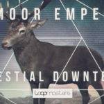 Featured image for “Loopmasters released Exmoor Emperor – Celestial Downtempo”