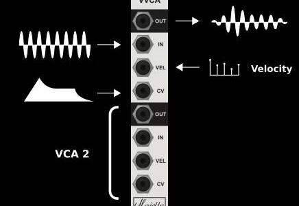 Featured image for “Majella Audio released VVCA – Dual Velocity Voltage Controlled Amplifier”