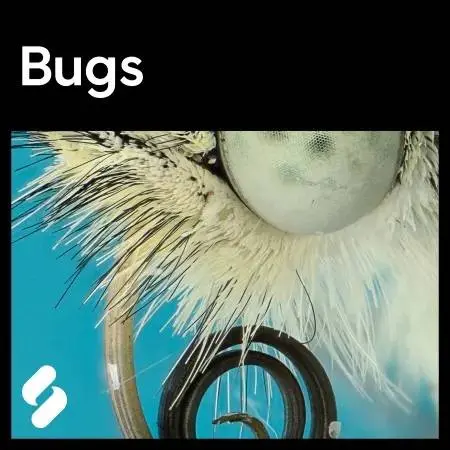 Splice Sounds released Bugs