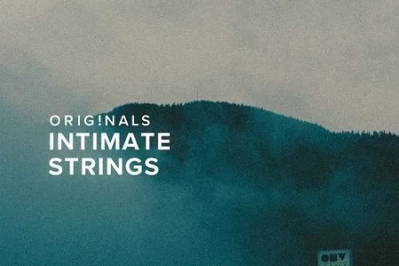 Featured image for “Spitfire Audio releases INTIMATE STRINGS”