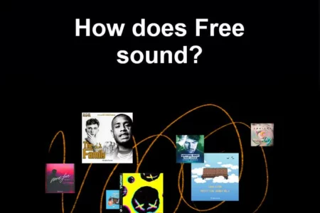 Featured image for “Splice Sounds is FREE for Black Friday”