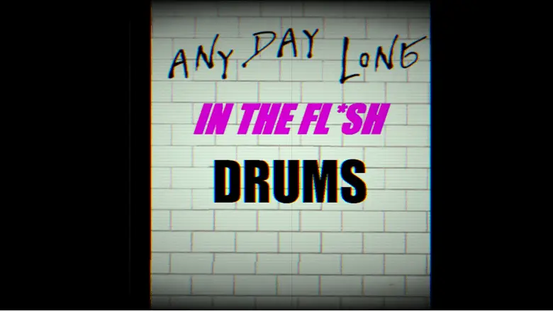 AnyDayLong released IN THE FL*SH DRUMS