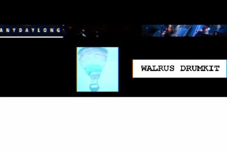 Featured image for “WALRUS ’67 DRUMKIT – made by AnyDayLong”