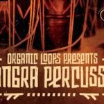 Featured image for “Loopmasters released Bhangra Percussion”