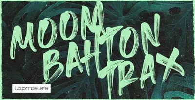 Featured image for “Loopmasters released Moombahton Trax”