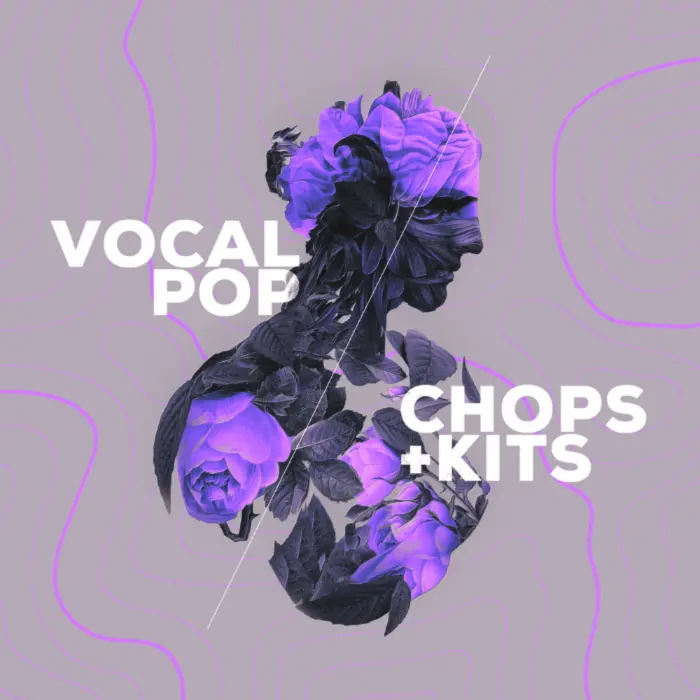 Audiomodern released Vocal Pop Expansion for Loopmix