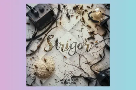Featured image for “Audiofier Releases Micron Strigor & Cineloops Extreme for Kontakt”
