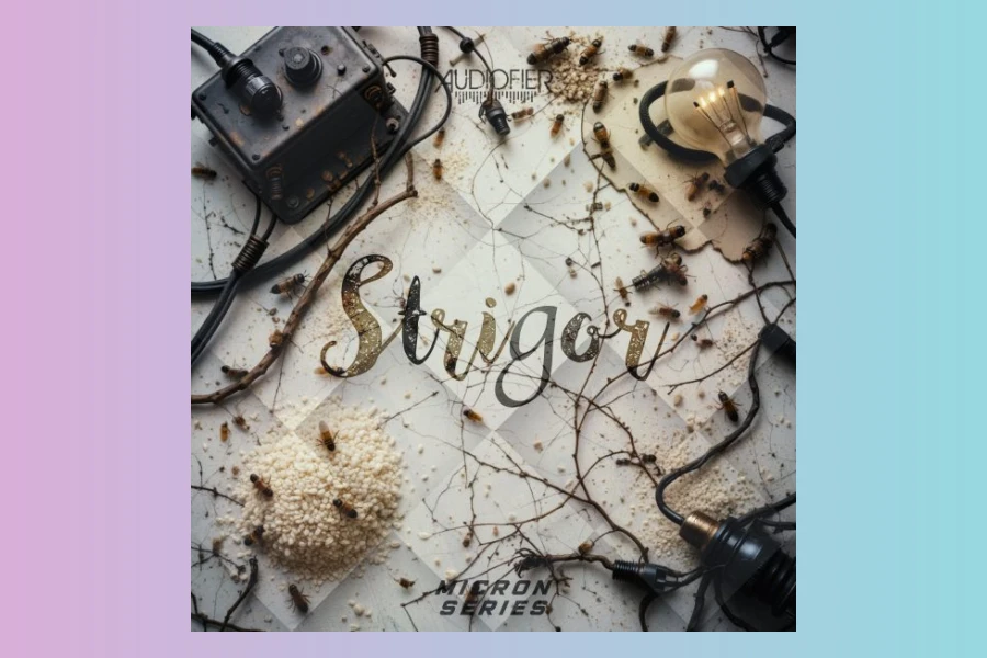 Audiofier Micron Strigor & Cineloops Extreme